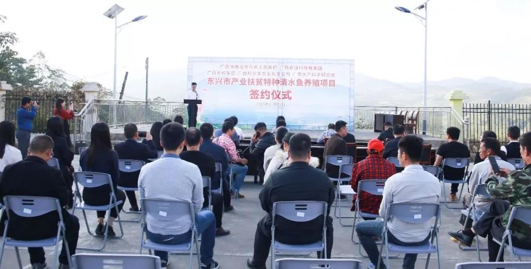 廣西啟迪扶貧工廠落地廣西東興市 打造精準扶貧新樣本